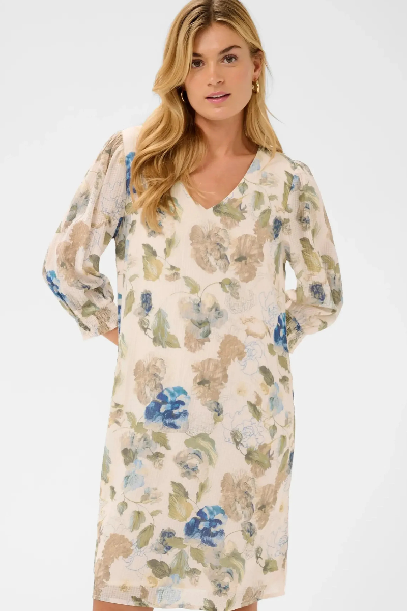 Cream | Lucia Short Dress | Hailey Print with Blue