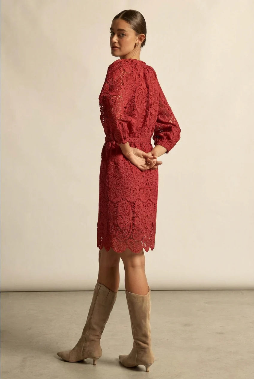 Zoe Kratzmann | Wisp Dress | Raspberry
