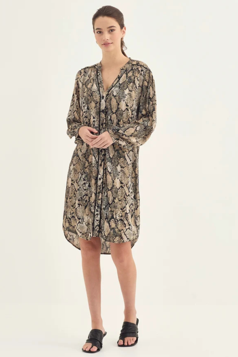 Verge | Payton Dress | Print